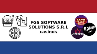 fgs software solutions s.r.l