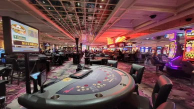 Flamingo Casino games room