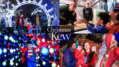 Christmas at Kew programme