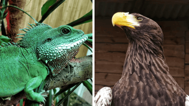 Рівненський зоопарк