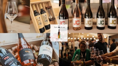 Pop Up Wine festival vino