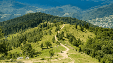 Гора Маковиця