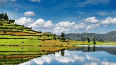 Клімат в Уганді