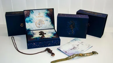 Tomorrowland Festival Tickets.