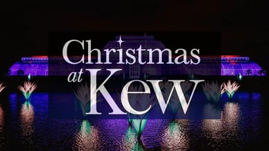 Christmas at Kew
