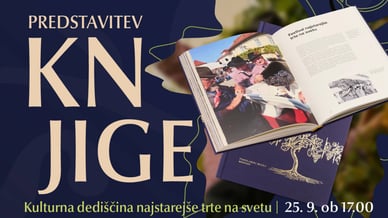 Kulturna dediščina najstarejše trte na svetu