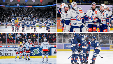 ZSC Lions - ein professioneller Schweizer Eishockeyclub