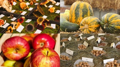 Praznik topliškega jabolka