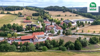 Kobilarna Lipica