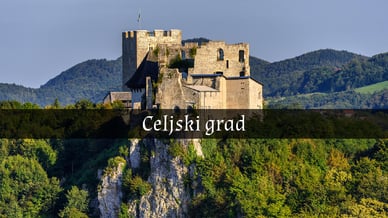 Celjski grad
