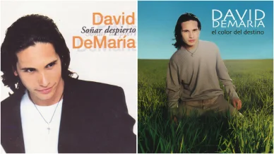 Los primeros álbumes de David DeMaría
