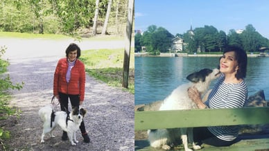 paula koivuniemi kuvat