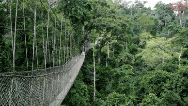 Підвісна дорога