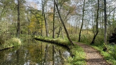 Radroute durch die Wälder des Biosphärenreservats Spreewald