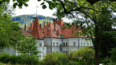 Дахи палацу Шенборнів