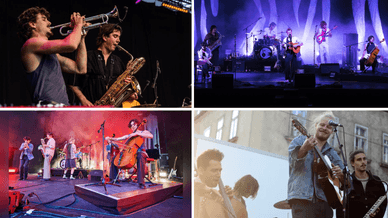 Buntspecht - österreichische Indie-Pop-Band