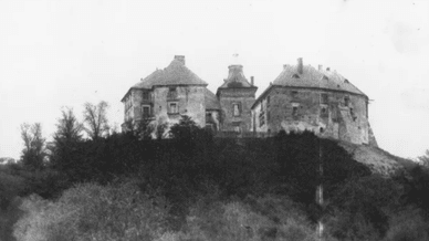 Олеський замок