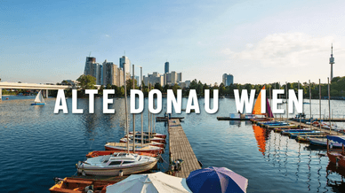Alte Donau Wien - Altarm der Donau