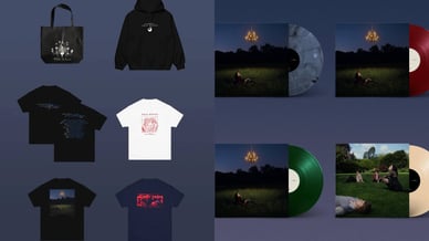 pale waves merch