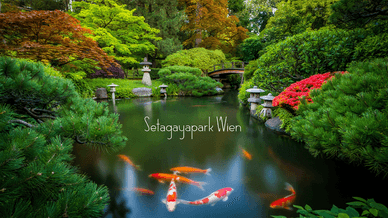 Setagayapark Wien