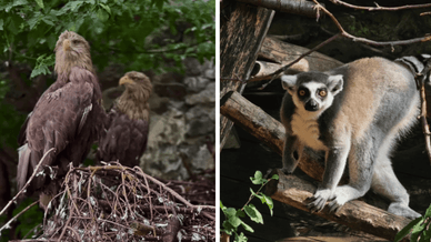 Черкаський зоопарк