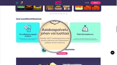 Asiakaspalvelu Wild Fortune casino