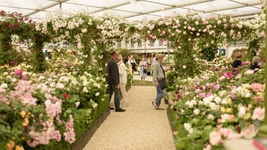 chelsea flower show gardens
