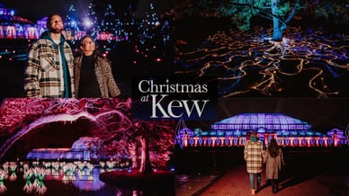 Christmas at Kew  installations