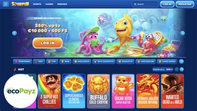 online casino accept ecopayz