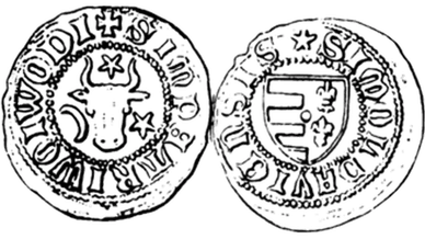 Монета князя Петра