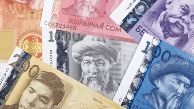 Валюта Киргизький сом