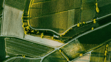 Digital Agribusiness