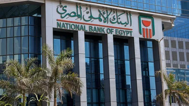 الواجهة الزجاجية الحديثة لمبنى البنك الأهلي المصري مع علامة البنك والاسم باللغتين العربية والإنجليزية، وتظهر أشجار النخيل في المقدمة.