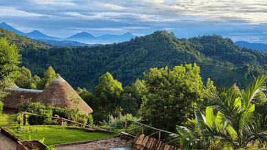 Парк Бвінді