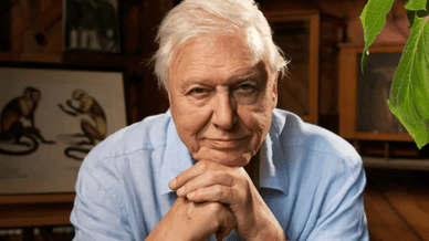 Девід Аттенборо, «Життя на нашій планеті» 2020 року