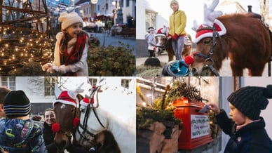 Pravljični konji z rančem Sitar