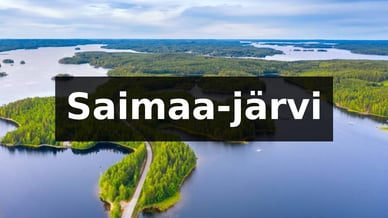 Saimaa-järvi