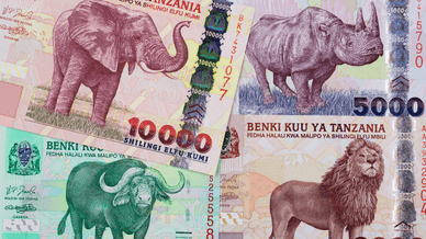 Валюта Танзанійський шилінг