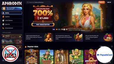 casino that accepts paysafecard deposits