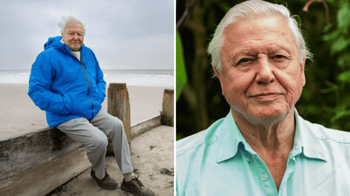 Кадр із документального фільму «Океан» та відомий портрет сера Девіда