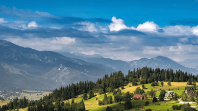 Ідеальний напрямок, Славське