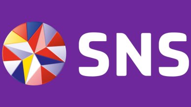 sns logo