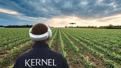 Напрямок Kernel Digital