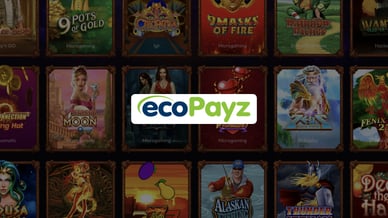 online casino ecopayz slots