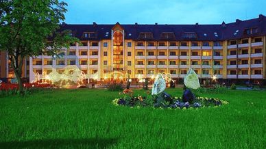 «Квітка Полонини»