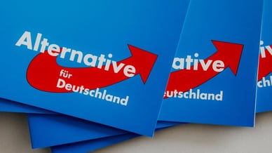 AfD Wahlprogramm