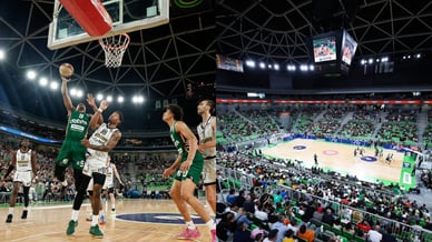 Dvorana Stožice Košarka