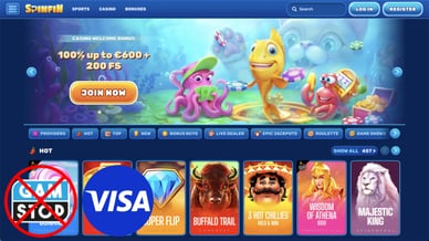 spinfin casino visa uk