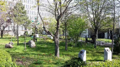 Mahnmal gegen Gewalt Berlin