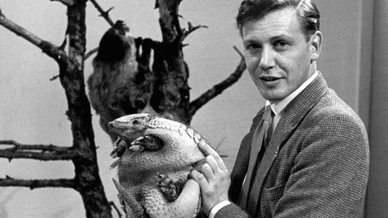 Молодий сер Девід Аттенборо на початку своєї кар'єри на BBC під час роботи над одним із його ранніх документальних серіалів «Zoo Quest»